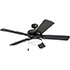 Honeywell Belmar Indoor/Outdoor LED Ceiling Fan with Light - 52 Inch, Bronze