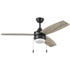 Honeywell Berryhill Ceiling Fan with 3 Dual Blades - 48 Inch, Black